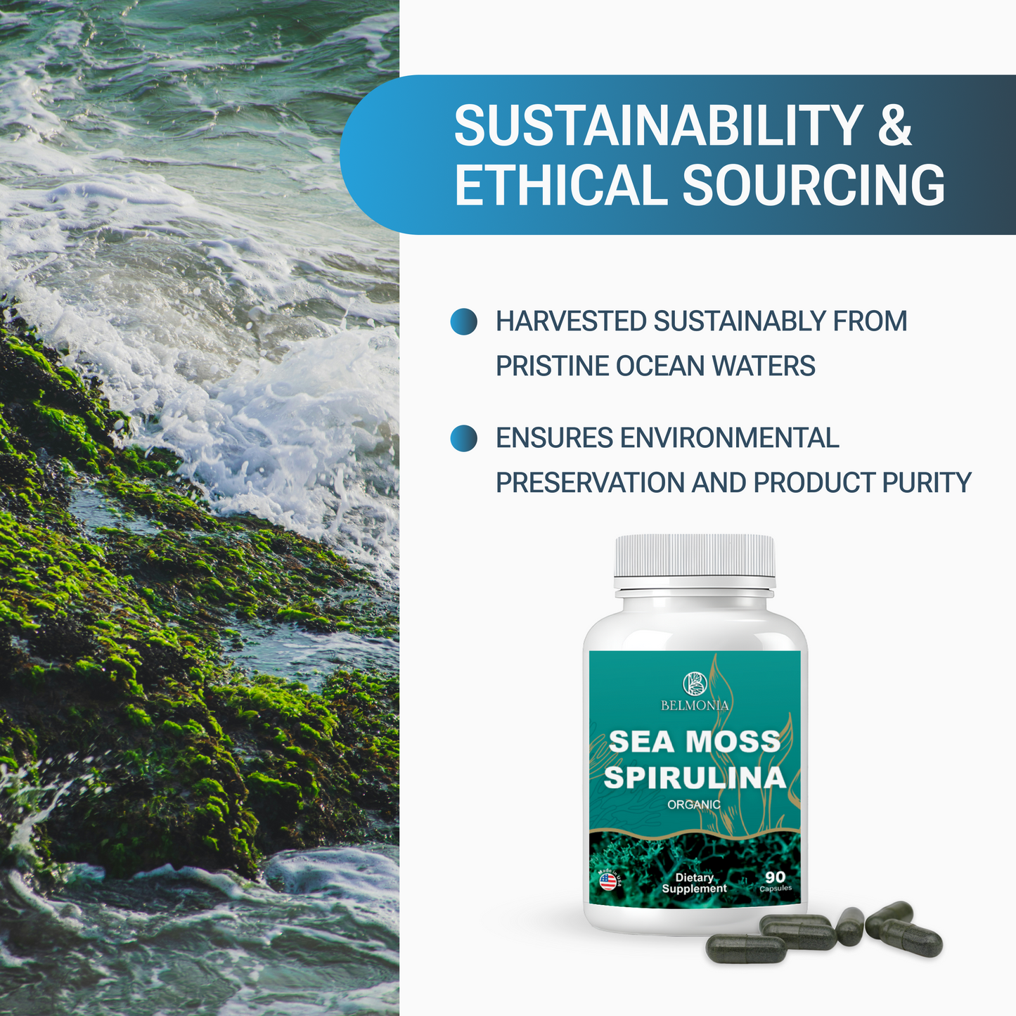 Sea Moss and Spirulina Capsules