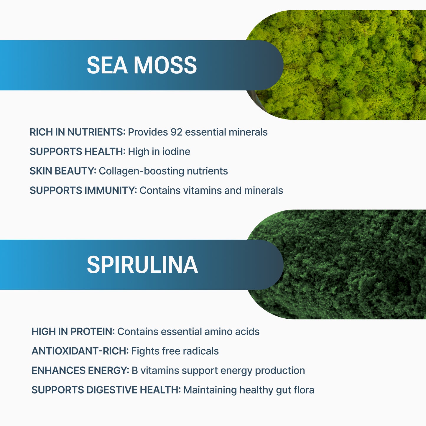 Sea Moss and Spirulina Capsules