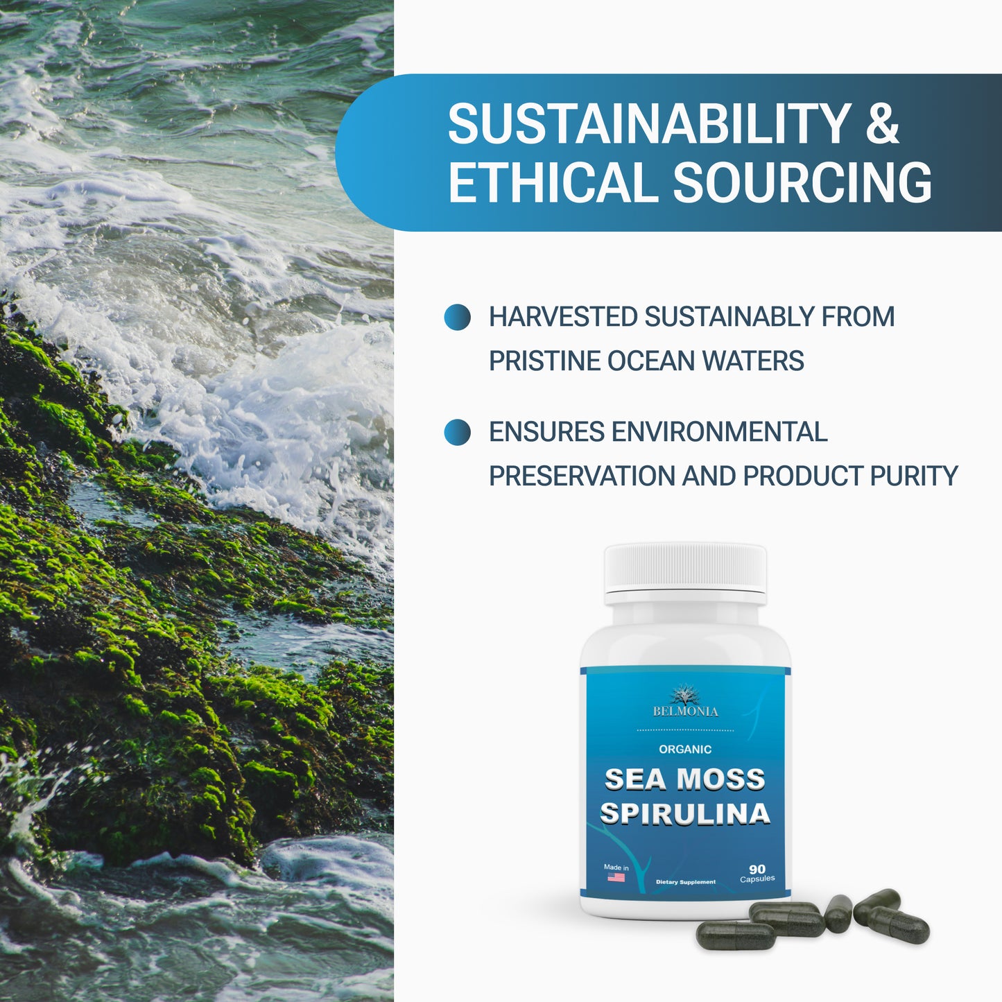 Sea Moss and Spirulina Capsules